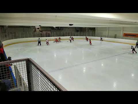 AA Diskos keltainen vs Urho punainen