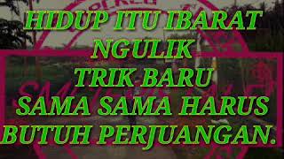 Download lagu Story Wa, DJ jangan menangis untukku mp3 Download lagu Story Wa, DJ jangan menangis untukku mp3