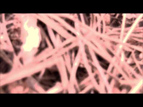 dsea dead - Red City (prod.by dsea dead)