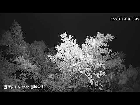 頭城合興海岸即時影像