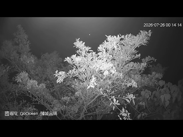 頭城合興即時影像