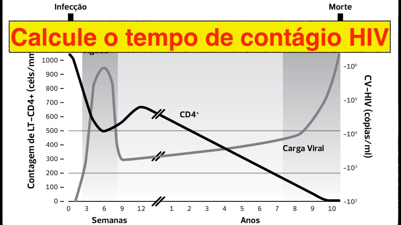 Calculando o tempo de contágio pelo HIV - Dr. Renato Cassol Infectologista
