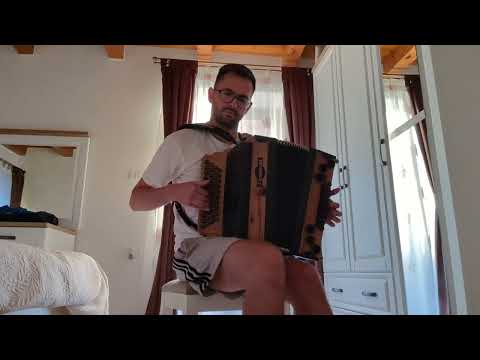 An Schindelschneida Sepp seina - Steirische Harmonika