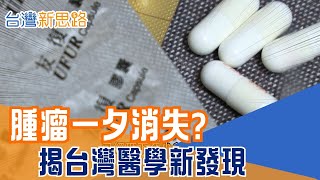 癌症腫瘤一藥而癒？揭密靠老鼠破除癌細胞連結 乳癌、肺癌動物實驗有效！抗體藥物距離人體臨床有多遠？│主播 苑曉琬│【台灣新思路】20251218│三立iNEWS