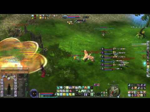 Aion 5.4: Ranger/Cleric Open World PvP