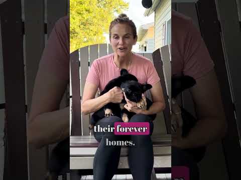 Video 1