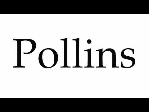 How to Pronounce Pollins