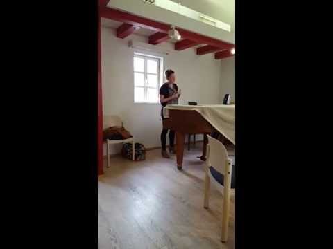 Soulasziv - Silbermond Ja Cover