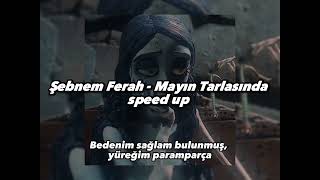 Cover art for Mayın Tarlası Speed Up