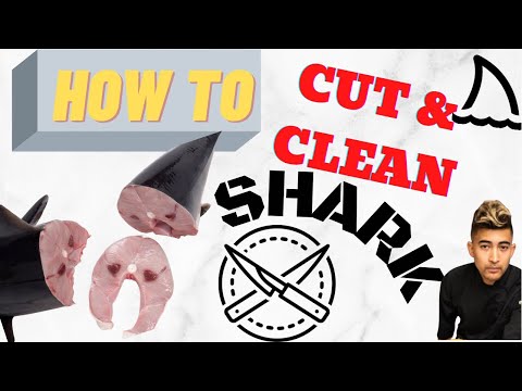 How to cut & clean real shark 🦈 short