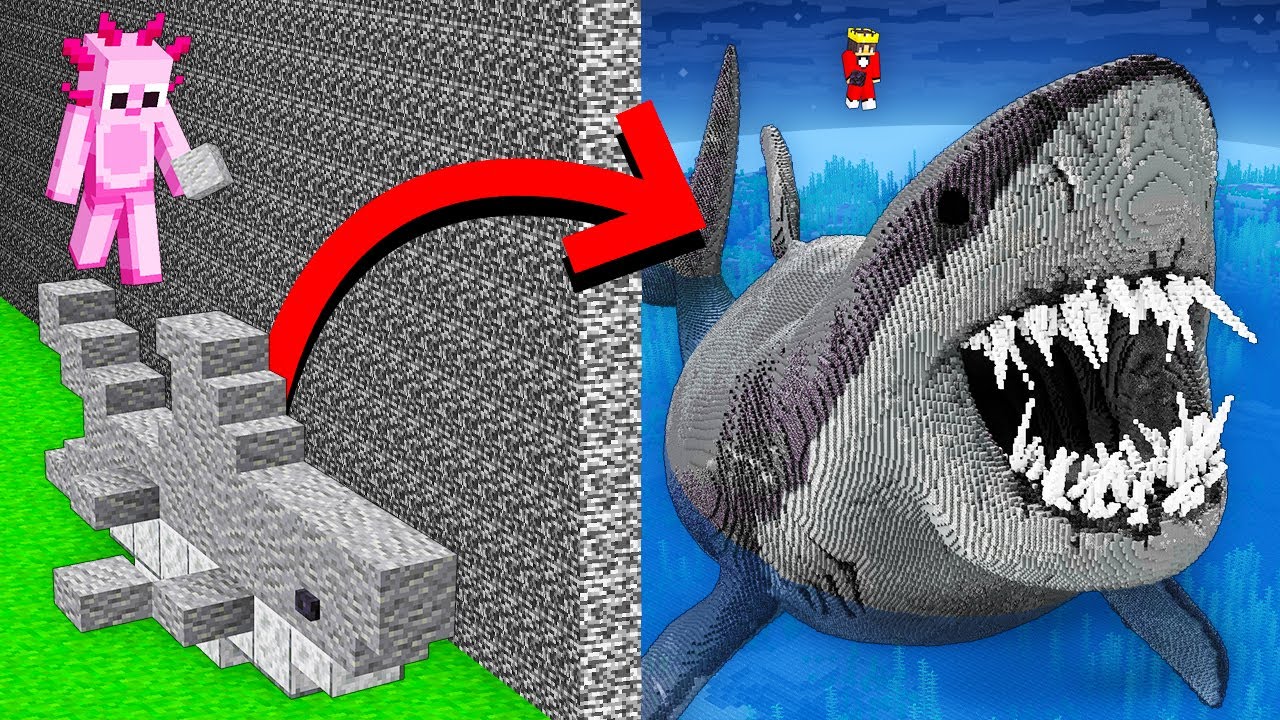I Cheated With MEGLAODON SHARK in Minecraft Build Battle!