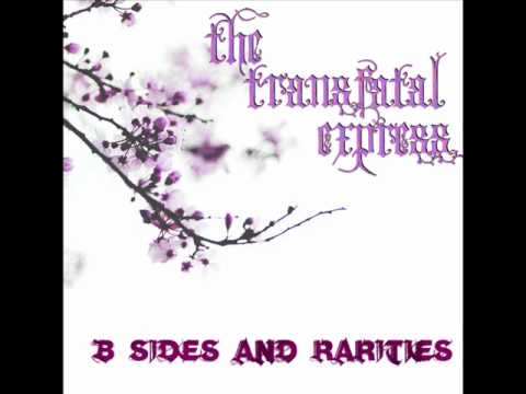 The Transfatal Express - The Ghost Of Times Long Ago