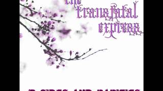 The Transfatal Express - The Ghost Of Times Long Ago