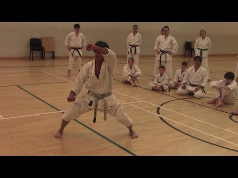 hotton sensei   dublin 2018 elements of sochin kata