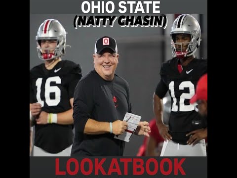 Lookatbook- “Ohio State” (Natty Chasin)