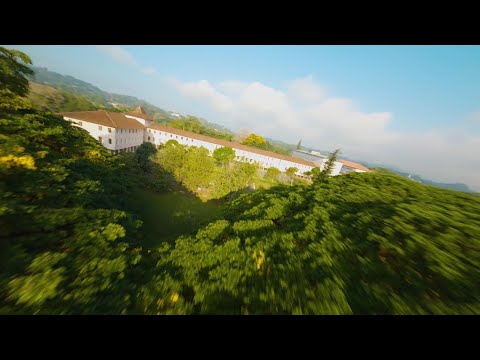 University Of Peradeniya most Beautiful Campus in Sri lanka .4k Cinematic FPV