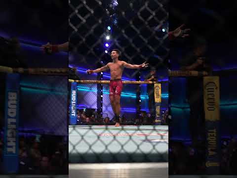 UFC video artwork
