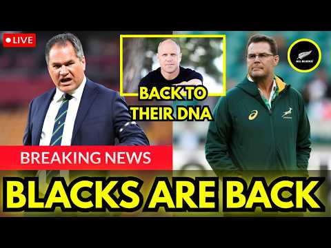 Jeff Wilson Says All Blacks Have Found Their DNA | Can They Match the Springboks?#allblacks