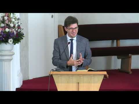 Lehel Nađ-Bata - "Opasnost od dobrih starih vremena" - 16.8.2025.