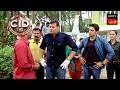 The Mysterious Ladder CID সিটি ই ডি Unusual Investigations