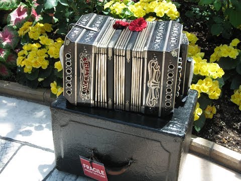 Polly Polka - Frank Kucera