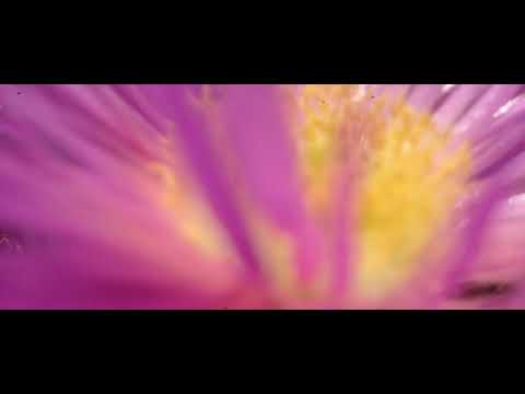 Map.ache - Tribute Mix