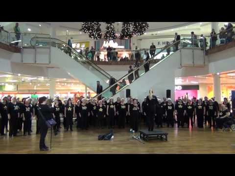 Rock Choir perform Something Inside So Strong at Merry Hill Dec 2015