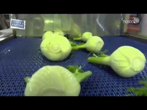 Storie e persone - "Oro verde"