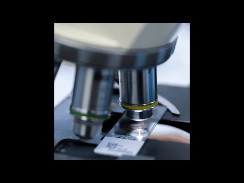 hqdefault - Villa Paola