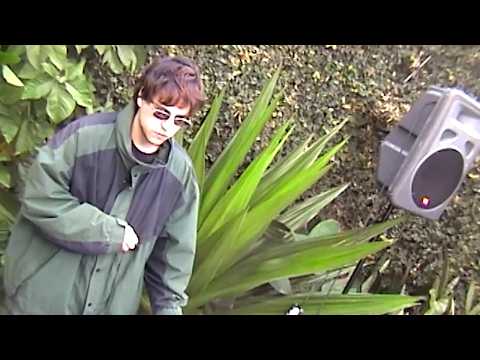 Super Chill Video Game Music DJ Set Next to a Big Plant