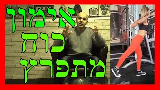 אימון כוח מתפרץ בחדר הכושר, קובי עזרא, אימון כוח מתפרץ לכדורגלנים, אימון כוח מתפרץ ריצה