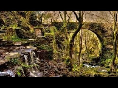 Gallaeci Dominion - Epic Celtic Music