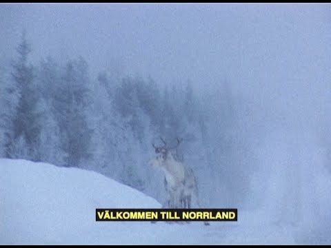 Erk & Academics "Brev Från Kolonien"