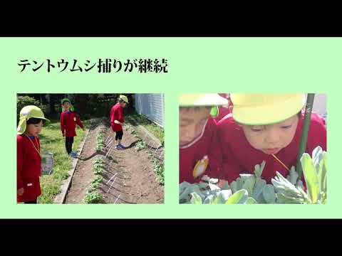 【福島大学 人間発達文化学類】①保育場面から見る幼児理解「新たな教師の学び」に対応したオンライン研修コンテンツ開発事業
