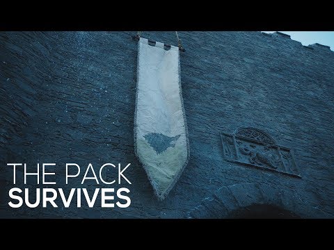 The pack survives The pack survives nv lm250