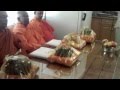 PEACE ON EARTH- A Documentary.