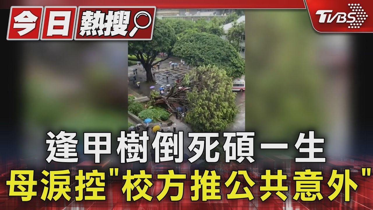 逢甲大樹倒壓死碩士生 母悲痛控訴:校方僅想以公共意外結案