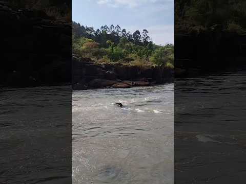 14/09/25,Quilombo, SC.#viagem #turismo #santacatarina #quilombo #saltosaudades