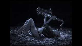 NEVER GIVE UP - Raluka (with lyrics)