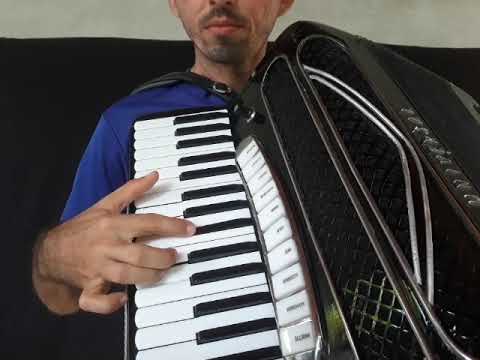 Forró No Sertão - Dominguinhos