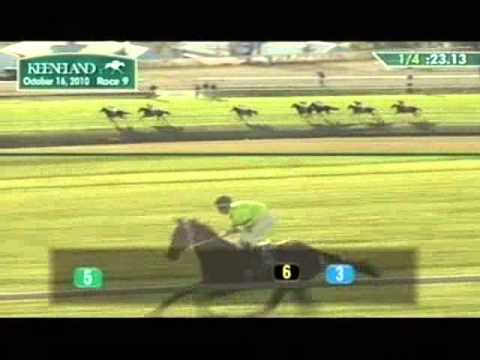 2010 Queen Elizabeth II Challenge Cup