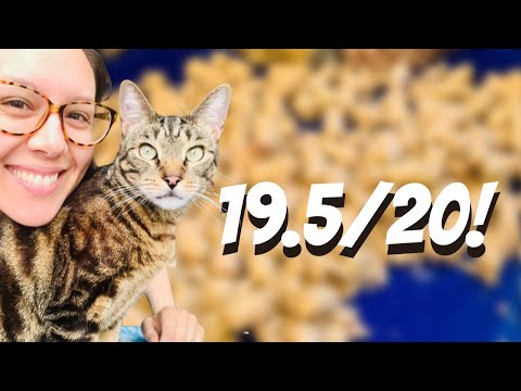 Freeze-Dried Raw Review PURPOSE, VITALCAT, NORTHWEST...