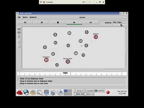 Privacy-Preserving and Truthful Detection of Packet Dropping Attacks in Wireless Ad Hoc Networks