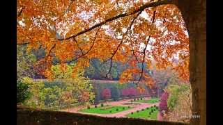 preview picture of video 'LE 17.11.13 JARDIN DE SAINT-OMER ....'