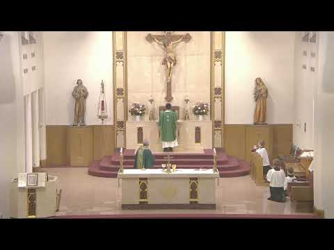 Weekend Mass - Sunday 10:30 AM