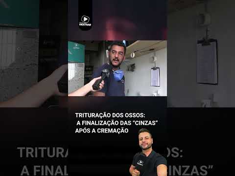 Vídeo