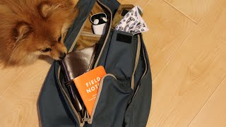 What Is ACTUALLY In My Bag!