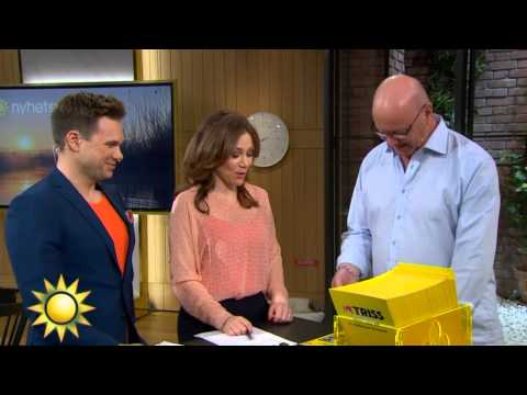 Triss: Clas från Umeå skrapar - Nyhetsmorgon (TV4)
