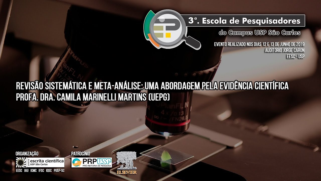 Revisão Sistemática e meta-análise - Profa. Dra. Camila Marinelli Martins (UEPG)
