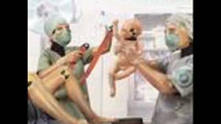 Tell Me - Dropping Daylight